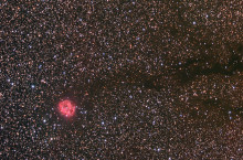 IC5146