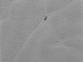 Jen led, nic víc. I takhle by se dala popsat tato fotografie trpasličí planety Pluto. Zhruba uprostřed snímku se nachází severní pól. Na fotce taktéž můžete lokalizovat různé povrchové útvary. Vynikají barvou převážně do oranžova. Tyto pásy, ač se zdají být velmi malé, jsou ve skutečnosti široké jednotky a dlouhé až desítky kilometrů. Zajímavostí také je, že na povrchu Pluta můžeme spatřit podivné krátery, z nichž by nám některé potenciálně mohly něco připomínat. Asi nejvýrazněji se jeví písmeno X, které na fotce přímo vyniká. Jednotlivé tečky jsou asi známkou sublimace ledu. Snímek zabírá plochu širokou 72 km, pořídila jej sonda New Horizons a k nám na planetu Zemi byl doručen 24. prosince 2015 (Marek Biely)