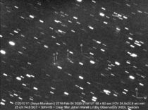 Ikeya-Murakami-Warell